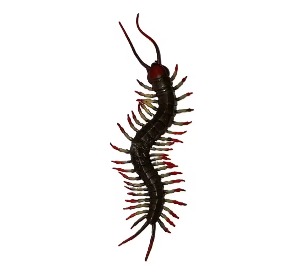 Strech Kırkayak
