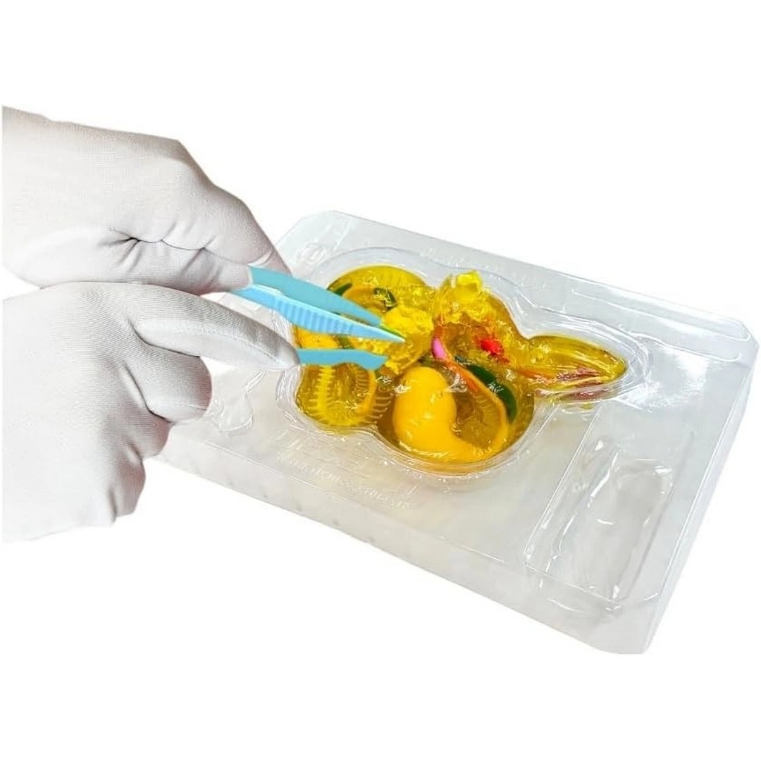 Slimy Yılan Labaratuvarı