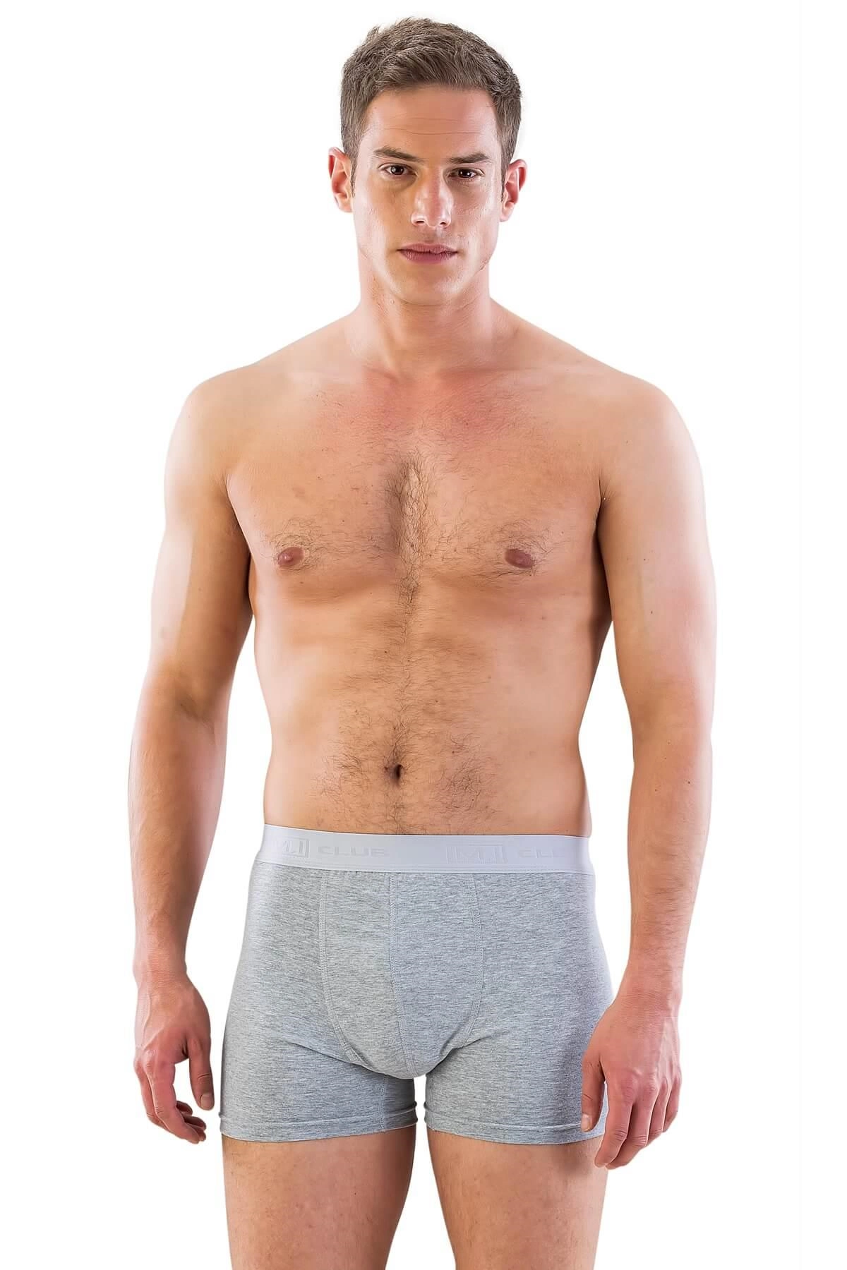 Erkek Boxer - Gri - KLBN29693