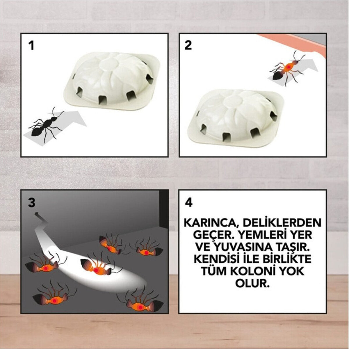 RAİD 2 PARÇA  KARINCA YEMİ (4887)